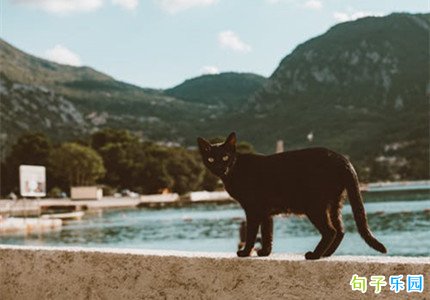2022��һ�޶���΢��ǩ����ѡ32��