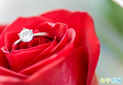 ���˽�΢���İ� ���˽ڷ�����Ȧ˵˵