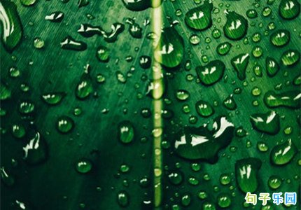 2022年雨水节气说说 雨水节气文案简短