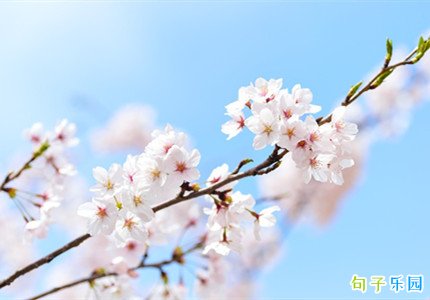 ΢��ӣ���İ��̾� ���쿴ӣ��������˵˵