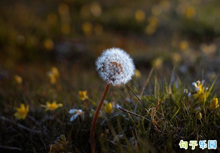 适合快手发的有哲理的文字精选31句