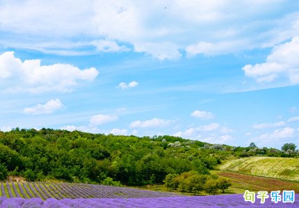 ���Ѱ���������־��¼�̾侫ѡ30��