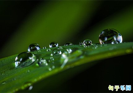 �������ոɾ��̾� ����Ψ�����Ӷ̾�