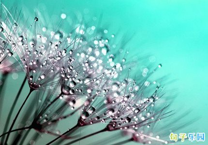 ���վ��ݽ�������ף������ѡ30��
