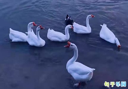 快手热门哲理句子 快手说说关于人生哲理