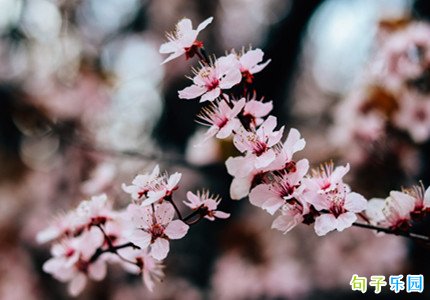 �����һ��İ� �һ����˶̾��İ�