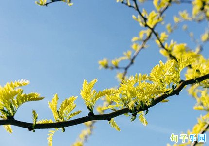 惊蛰养生文案短句精选30句