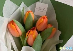 Ů��������˵��İ� 3.8Ů���ھ���̾�