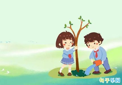 ֲ���ڵľ���̾� �ʺ�ֲ���ڷ��Ķ�˵˵