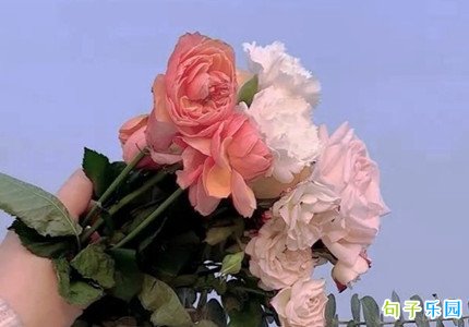 ���˸�Ů���İ� ���˸�Ů�ڷ�����Ȧ�̾�