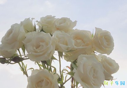 Ů��ڸж�ĸ�׵�ף����