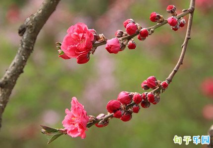 ���һ����İ� �������һ���˵˵