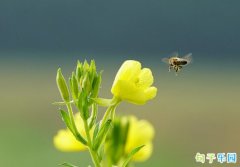 ����˵˵�̾� ���ַ�����Ȧ�Ķ̾�