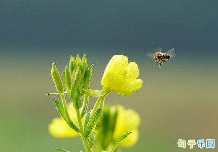����˵˵�̾� ���ַ�����Ȧ�Ķ̾�