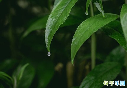 ����Ψ���ɾ��̾� ΢�Ŵ��ֵ�˵˵