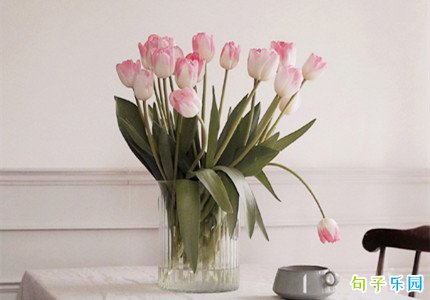 ��������˵˵ ���ֽ����ʺ�̾�
