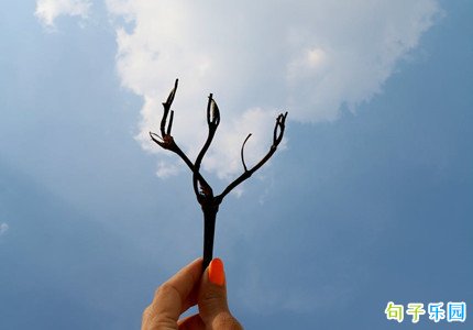 �����͹��ڵĶ̾� ����͹����İ��̾�