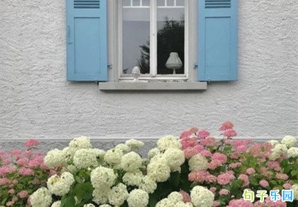 ���ֽ��ն̾� ��������ף�������̾�