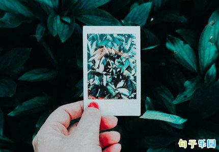 心灰意冷的句子伤感悲凉短句