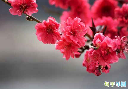 ů�������İ�����