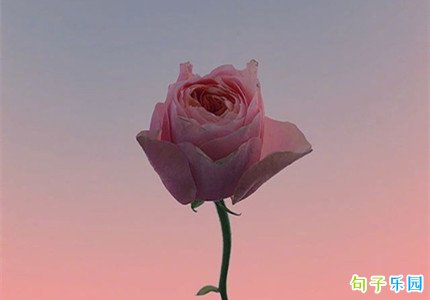 愚人节告白语录 适合愚人节的情话