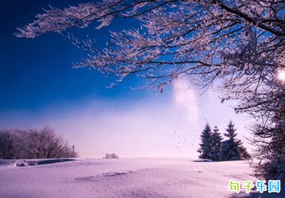 �����Ļ�Ȼ���ʵĶ̾� ��͸���Ļ�Ȼ���ʵ��İ�