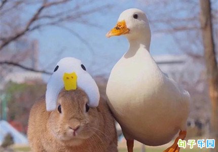 ���˿ɰ��ľ��� ��һ���˿ɰ���˵˵