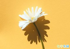 ���뷲�������˵˵ ���뷲������Ȧ�İ�