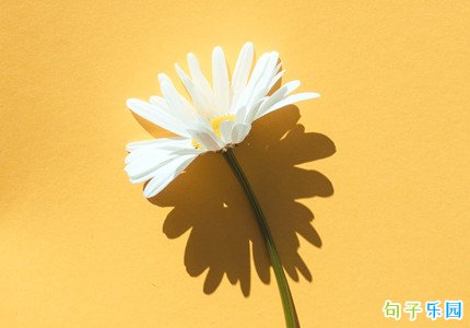 落入凡间的神仙说说 落入凡间朋友圈文案