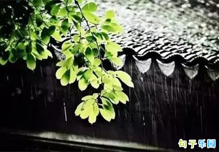���ڹ�����İ� ��������̾���