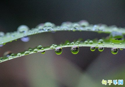 ����ʱ��ף�� �������ô˵ף����