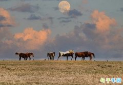 ��������̾� ������Ƕ̾���