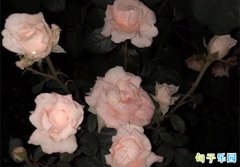 һ�����ݵ������İ�����