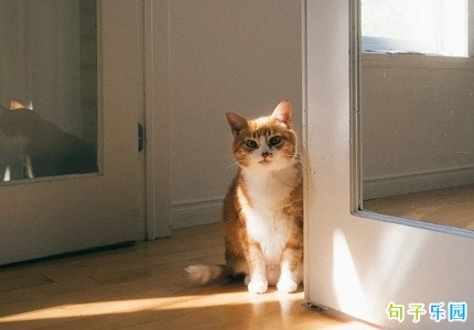 一眼就直接封神的无风格文案
