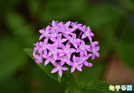 �������ӭ�����¶̾� 5���簲���һ�仰
