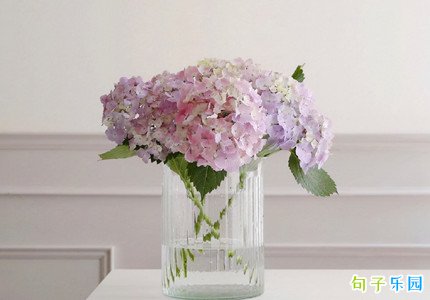 ף�����һ�ڿ��ֵ��İ�