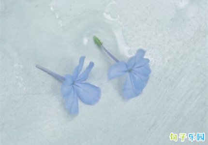 �������ĵ��޷���İ�