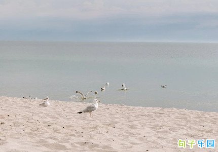 ֵ�ó��ڲ������İ�