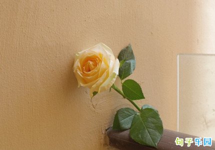 �簲��ܰ���ӷ�����Ȧ