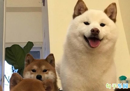 ����ǩ����Ĭ��Ȥ���