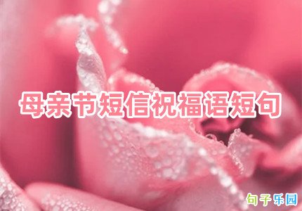 母亲节短信祝福语短句