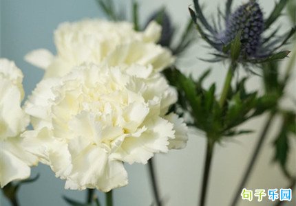 母亲节女儿给妈妈送花祝福语