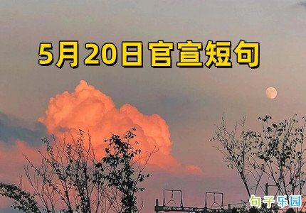 5月20日官宣短句