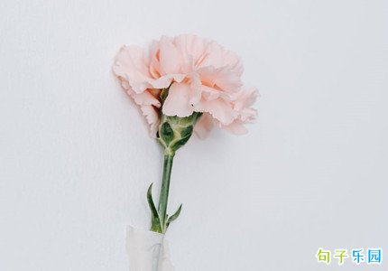 ��һ����ĸ�׹�ĸ�׽ڵ�˵˵