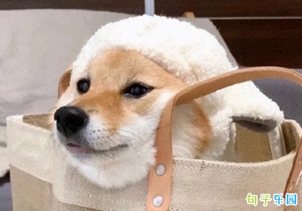 Ƥ������ĸ�Ц����