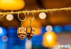 5��20�չ��������İ�
