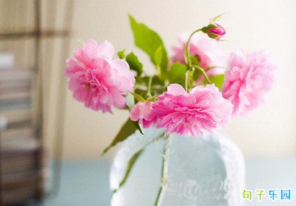 小满时节的祝福语