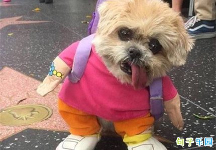 ��һ�����˷��ĸ�Ц����