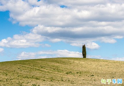 �Ա��ĸ���ǩ����ôд������