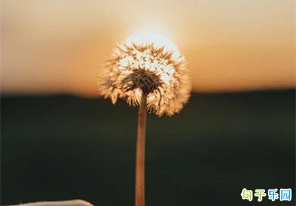 给初三中考加油的寄语 鼓励中考冲刺的王者文案
